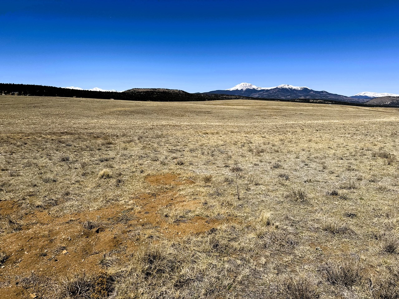 view west from the east side of the property to buffalo peaks in the center, mosquito mountain range on the right and collegiate peaks on the left