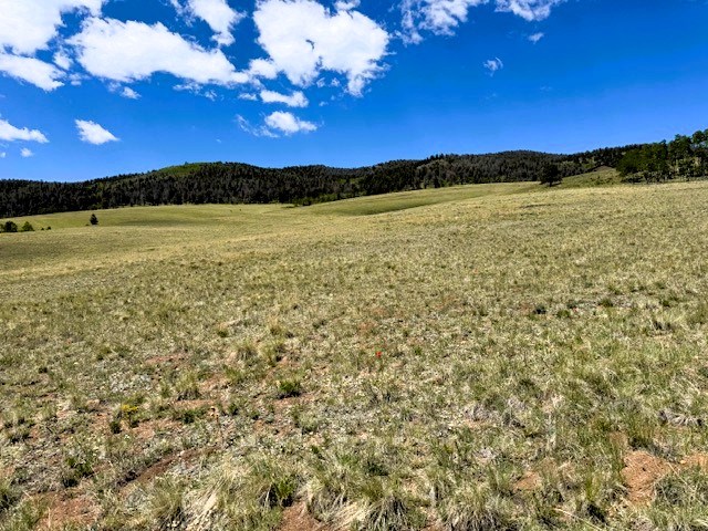 south southwest view across the property