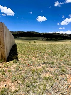 view west along the south property line and the neighbor's fence