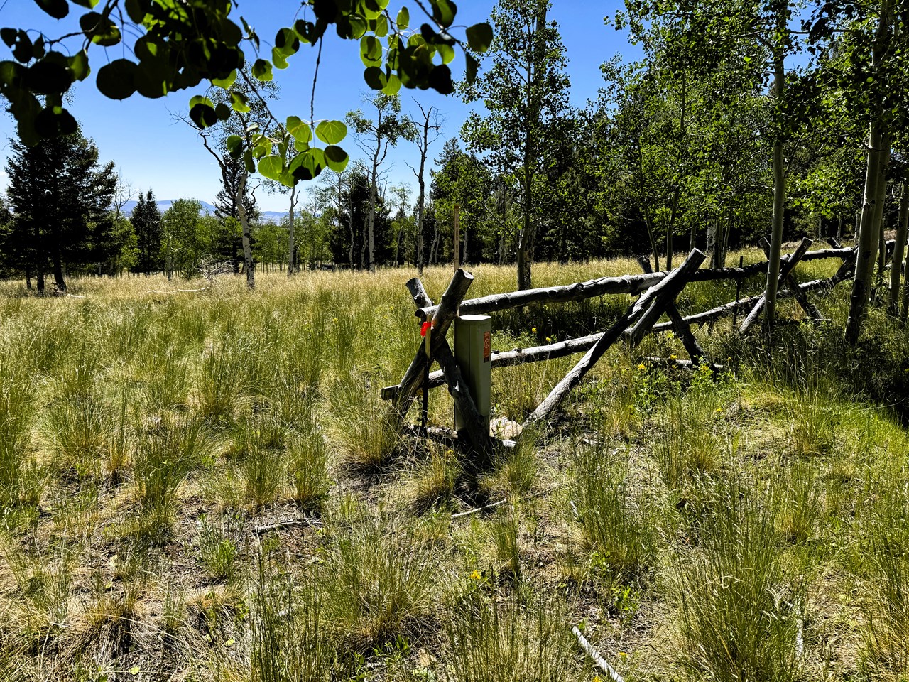 the south corner of the lot