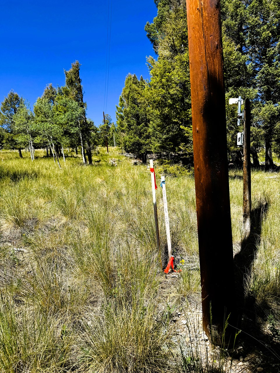 view toward the south corner along the property line from the east corner
