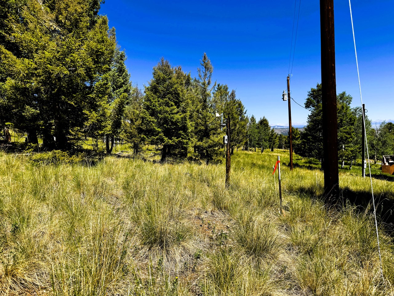 view north nothwest along the northeast property line