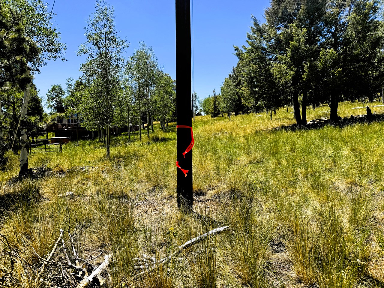 a power pole on the northeast property line
