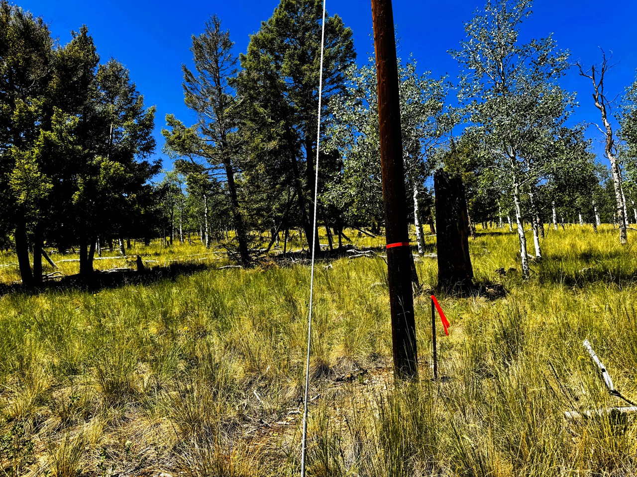a power pole at the north corner marker