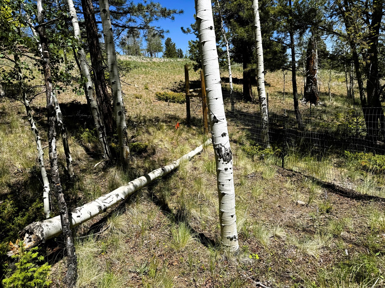 looking northwest over the northwest corner marker