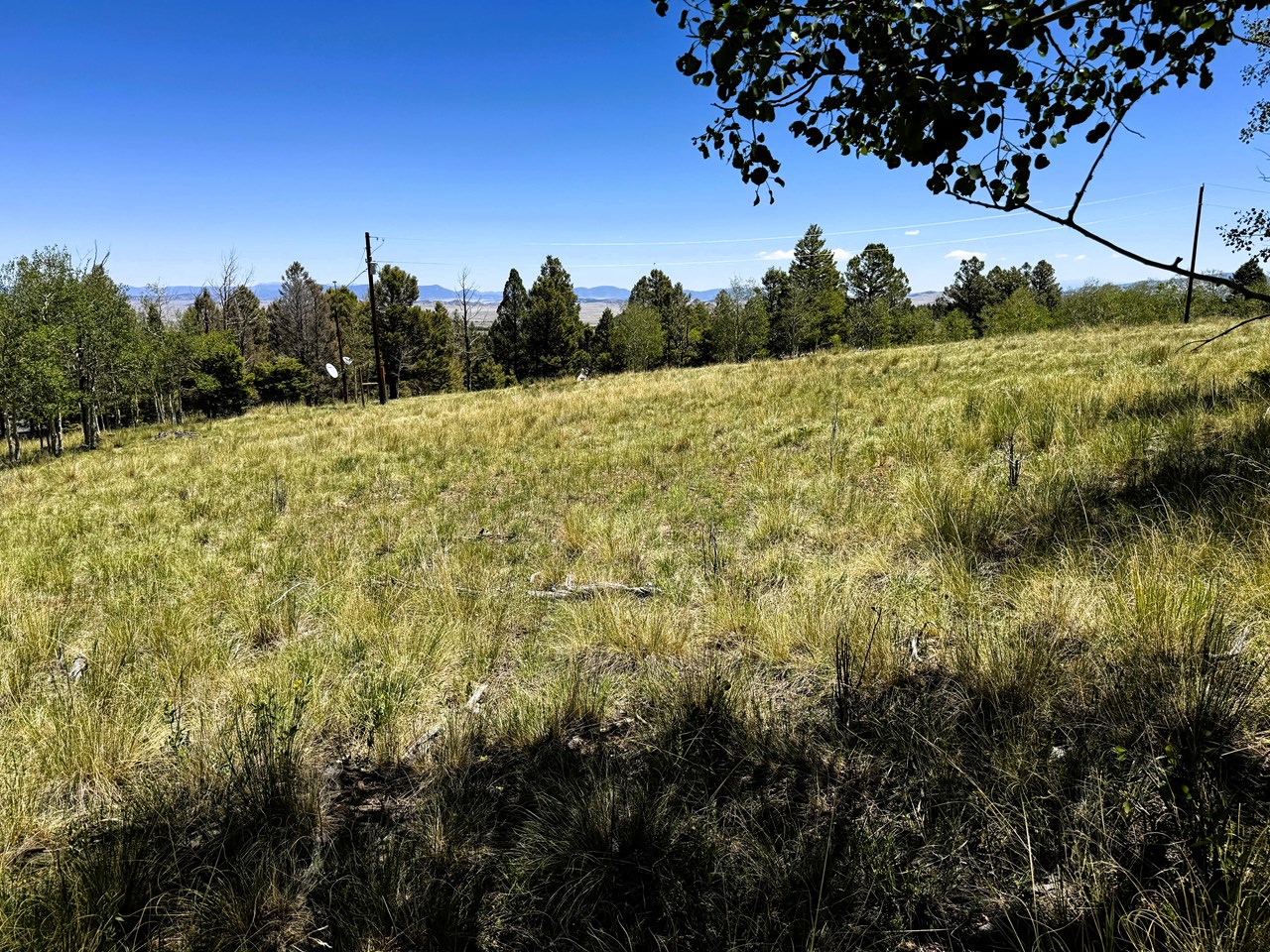 looking ese across the property