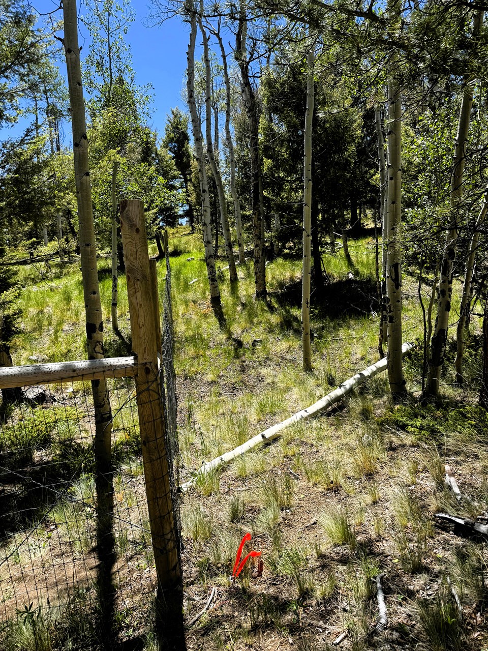 the northwest corner marker