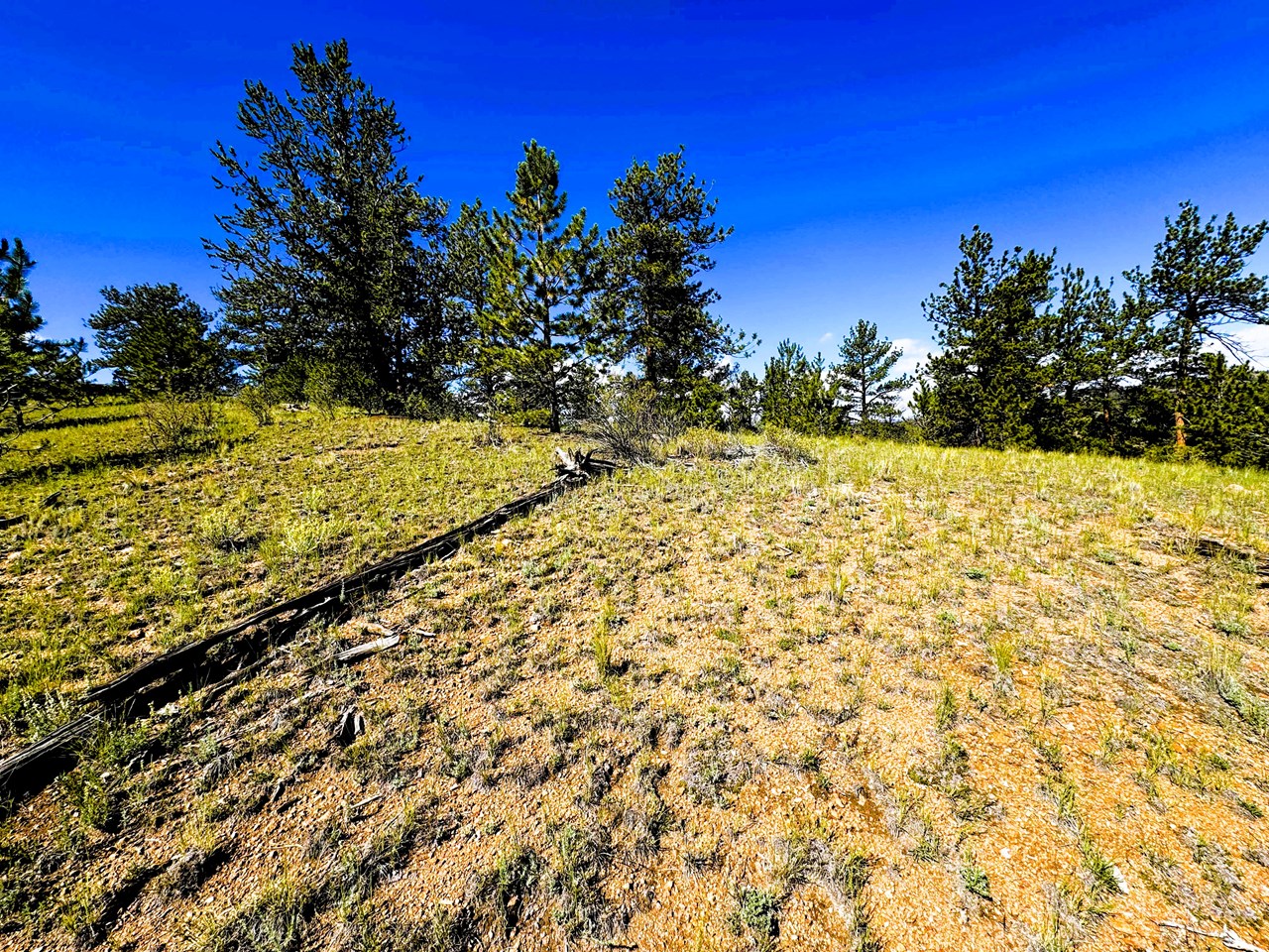 trees on the top and on the back side of the property. trees on the top and on the back side of the property.