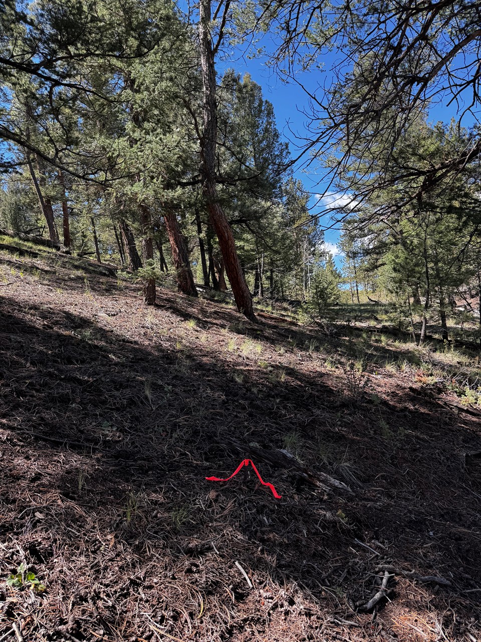 the northwest corner pin at the back of the property. the northwest corner pin at the back of the property.