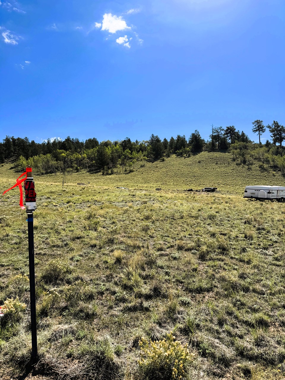 view east along the north property line - camping trailer on the right will be removed view east along the north property line - camping trailer on the right will be removed